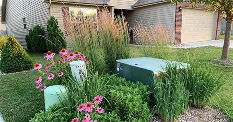 planting around electrical boxes|landscaping to hide utility box.